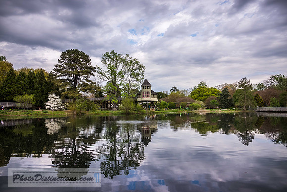 LEWIS GINTER-904-HDR-3
