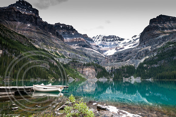CANADIAN ROCKIES-4290