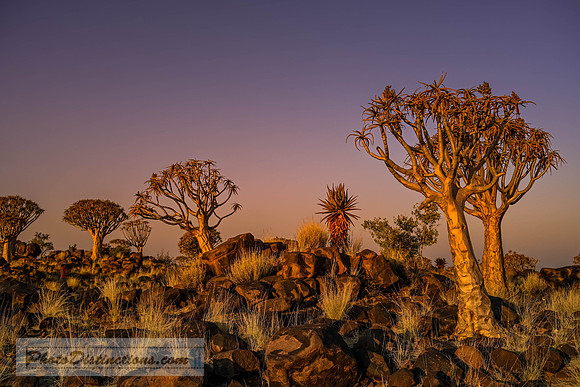 NAMIBIA