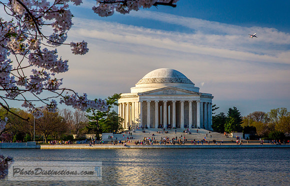 dc blossoms 8519e2 (1 of 1)