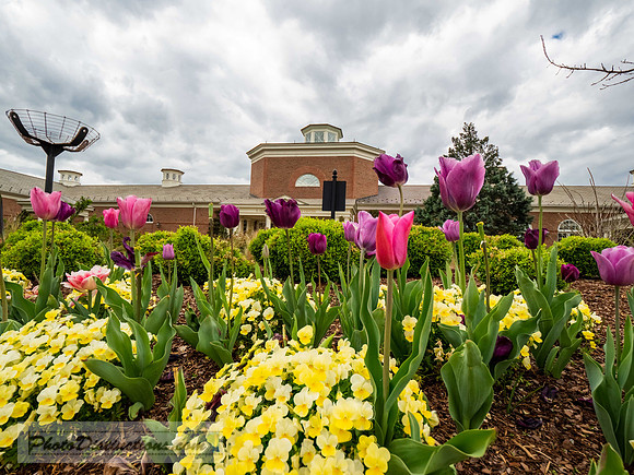 LEWIS GINTER-583-2-HDR-21