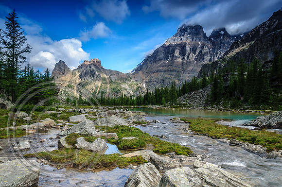 CANADIAN ROCKIES-4351