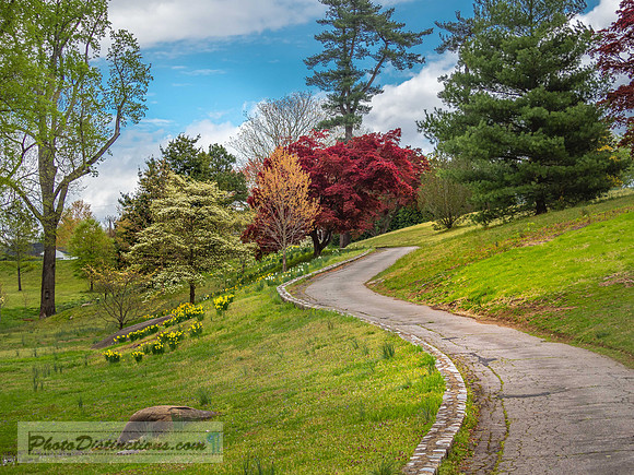 MAYMONT (129 of 154)-4