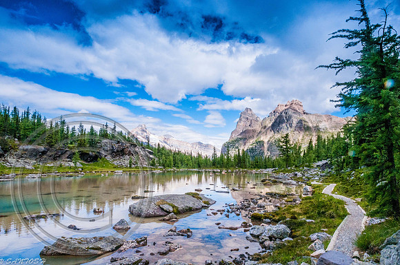 CANADIAN ROCKIES-4367