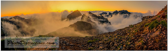 MADEIRA-8