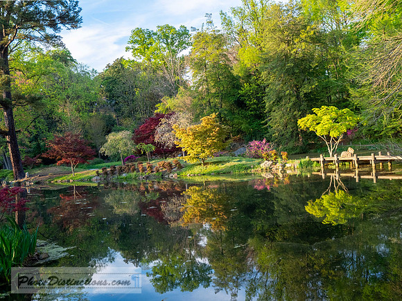 MAYMONT-85-3-HDR-11