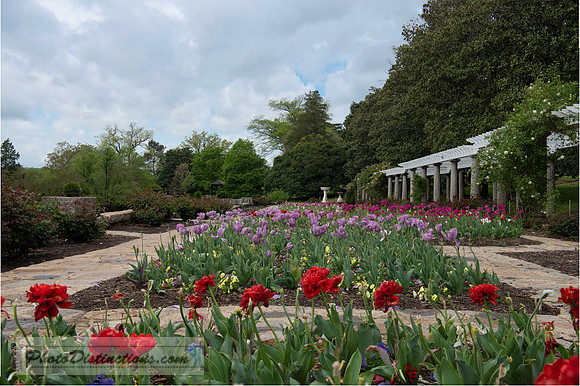 MAYMONT (55 of 98)-Edit-6