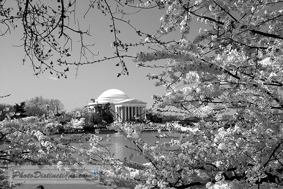 IMG_1162 v3 b & w