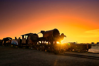 ABANDONED TRAINS SUNSET--5