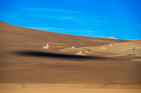 DALI LANDSCAPE--7