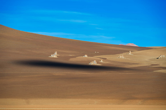DALI LANDSCAPE--7