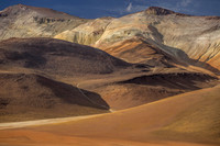 DALI LANDSCAPE--2