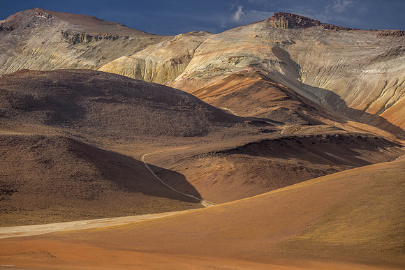 DALI LANDSCAPE--2