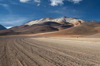 DALI LANDSCAPE-