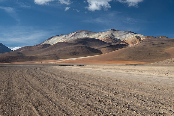 DALI LANDSCAPE-