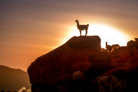 MALCU RAVINE AND SUNSET-19