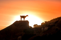 MALCU RAVINE AND SUNSET-21