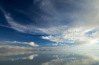 RETURN TO SALT FLATS-3