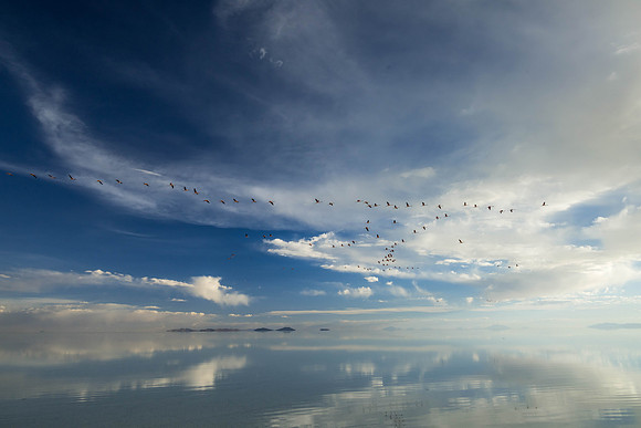 RETURN TO SALT FLATS-3