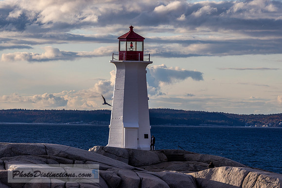 3036.3  peggys cove lighthouse
