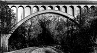 0853.5_DxO