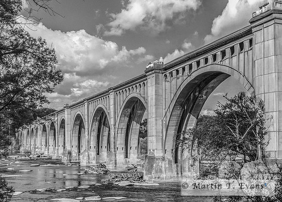 0595 b-w