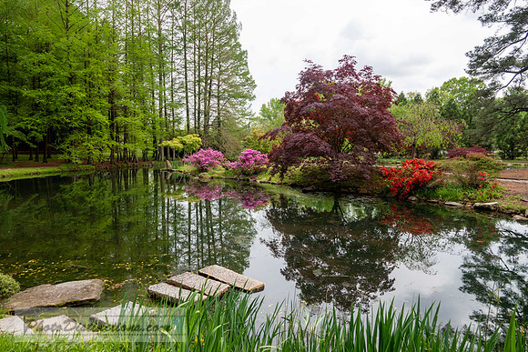 MAYMONT (278 of 516)-HDR-7
