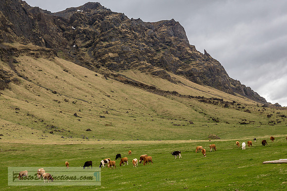 Kerið 5.17.16 01222 rec (1 of 1)
