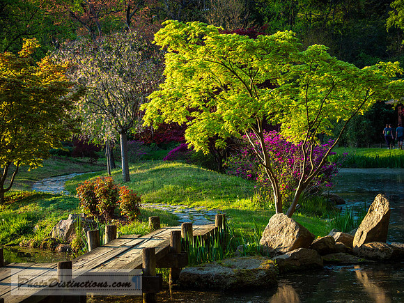 MAYMONT-48-4-6