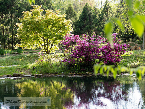 MAYMONT-56-6-17