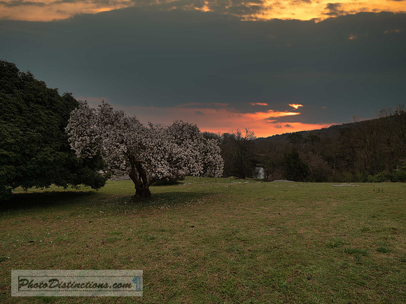 MAYMONT-56-3-5