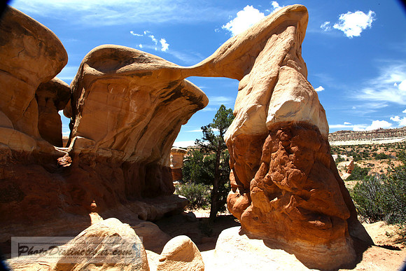 devils garden IMG_3302