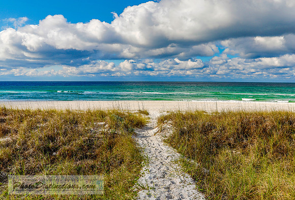 beach 6515 3.14.17 (1 of 1)