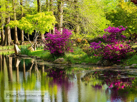 MAYMONT-50-6-16