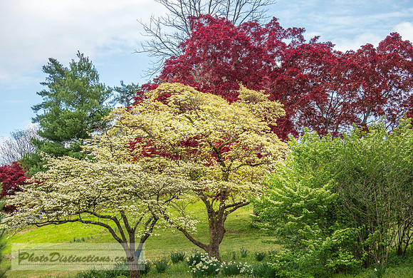 MAYMONT (124 of 154)-3