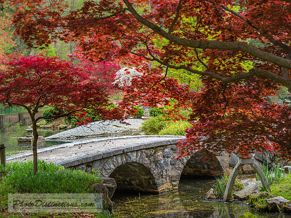 MAYMONT (104 of 154)-2
