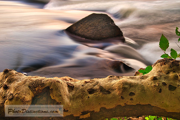 PONY PASTURE_-56-5