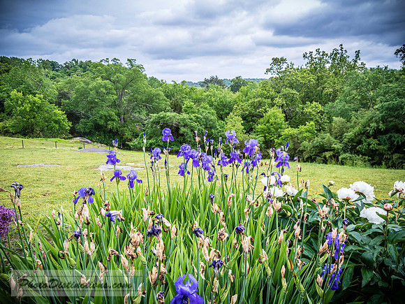 MAYMONT (22 of 74)-9