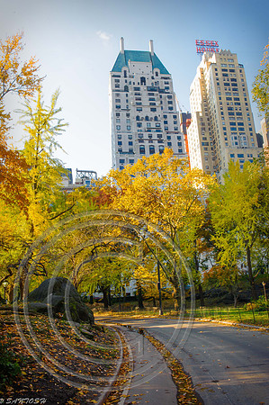 NEW YORK-0915