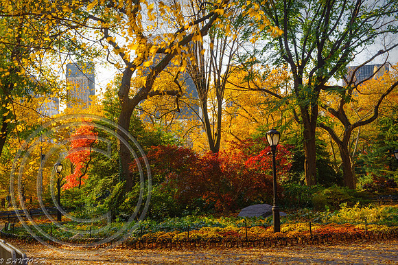 NEW YORK-0976