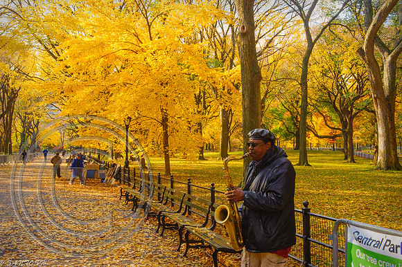 NEW YORK-1016