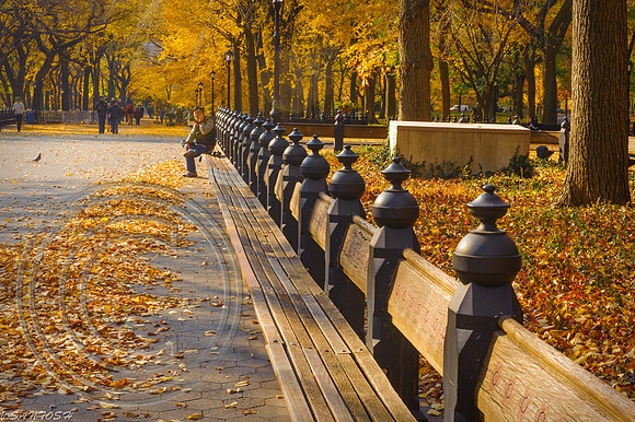 NEW YORK-1046