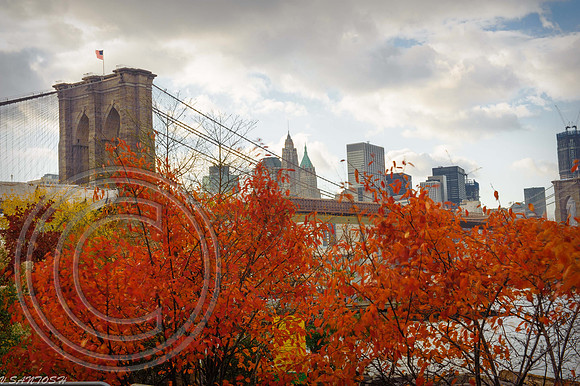 NEW YORK-1265