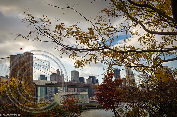 NEW YORK-1270