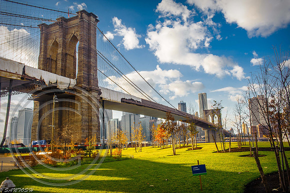 NEW YORK-1300