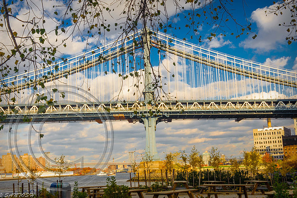 NEW YORK-1303