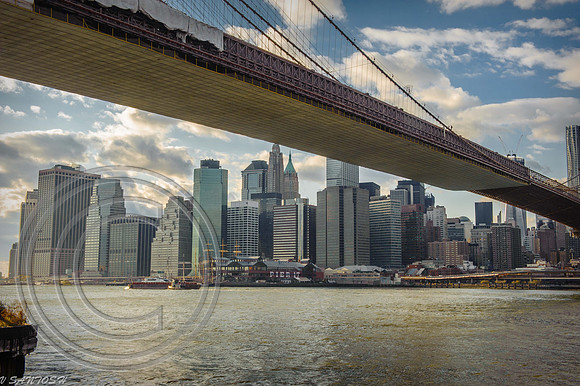 NEW YORK-1337