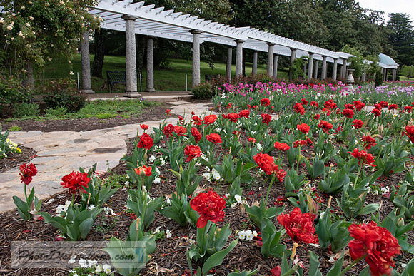 MAYMONT (38 of 98)-Edit-5
