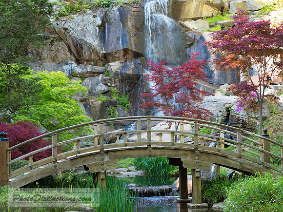 MAYMONT-21-6-4