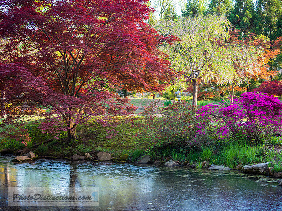 MAYMONT-35-4-3